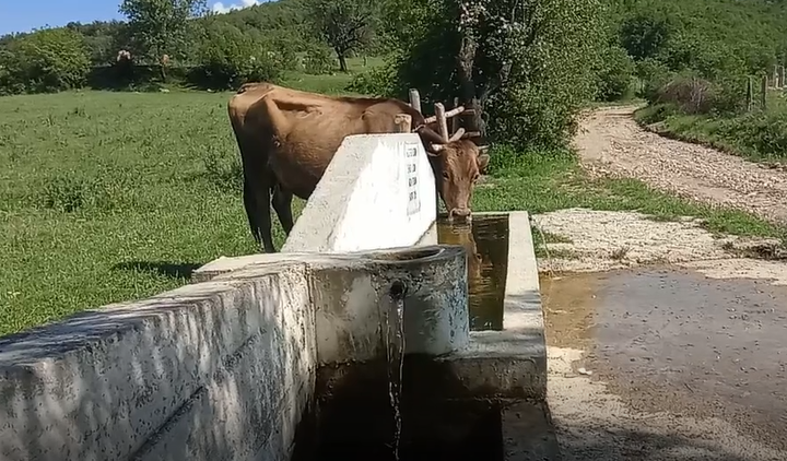 27 MAYIS 2018 KURUÇAY MEVKİİ