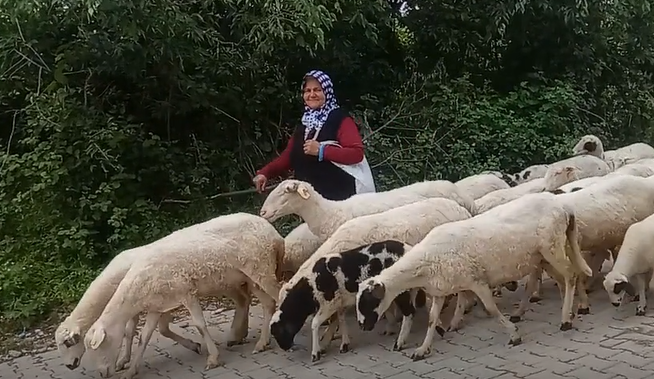 22 MAYIS 2019 SATU ÖZTÜRK