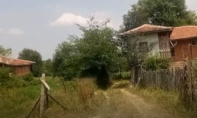 MERKEZ MAHALLESİ GEZİNTİ (2018)