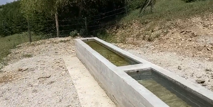 29 HAZİRAN 2017 14:19 TAVUKLU MEVKİİ VİDEO 2