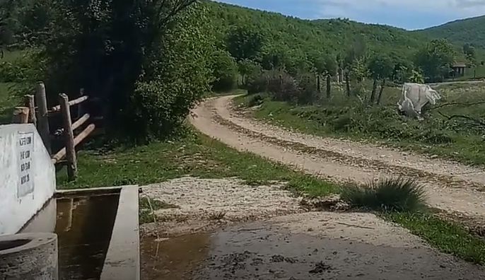 13 MAYIS 2019 14:30 KURUÇAY