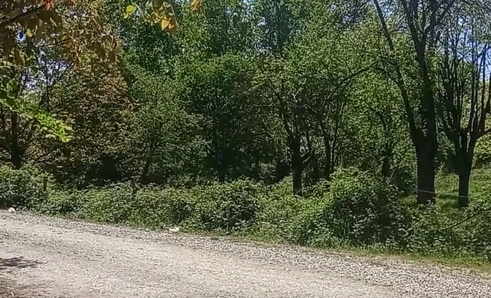 14 MAYIS 2019 14:28 KARŞIKİ BAĞ