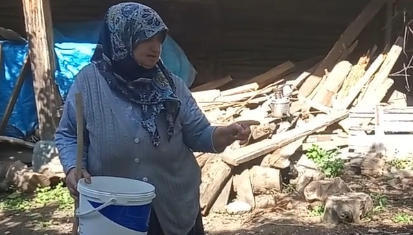 14 MAYIS 2019 16:27 GÜLSER ALTAŞ