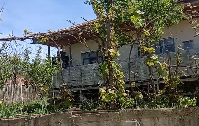 15 Mayıs 2019 13:48 Koruk Mevkii’nde gezinti videosu 3