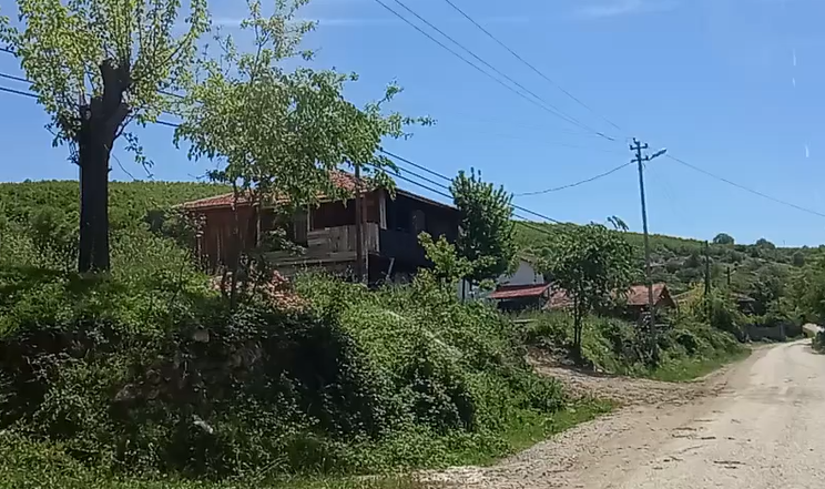 15 Mayıs 2019 14:05 Koruk Mevkii’nde gezinti videosu 6