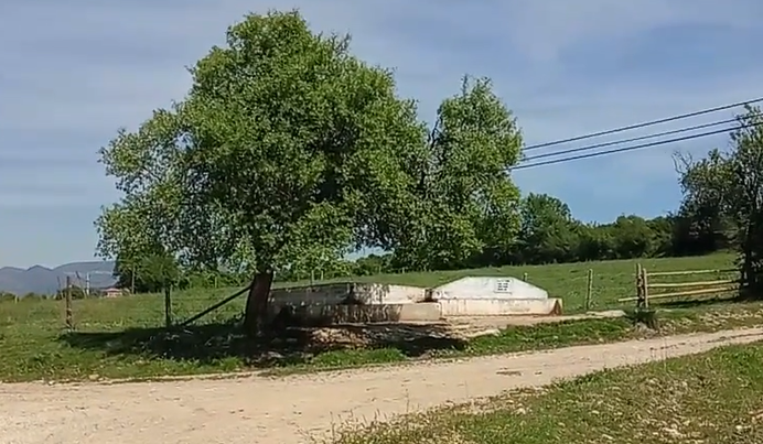 15 Mayıs 2019 14:30 Koruk Mevkii’nde gezinti videosu 7