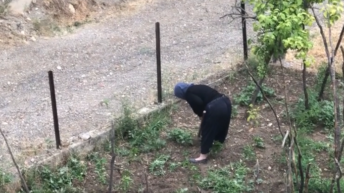 29 Haziran 2025 Pazar 08:32 Çapa yapan Muazzez Yavuz