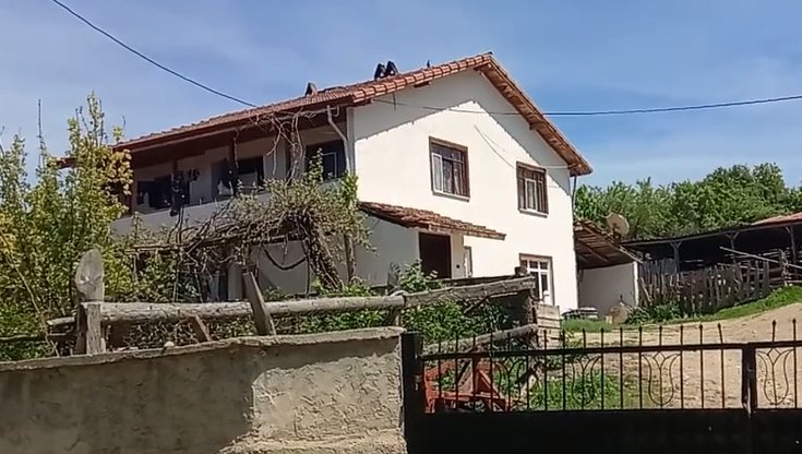 15 Mayıs 2019 13:53 Koruk Mevkii’nde gezinti videosu 4